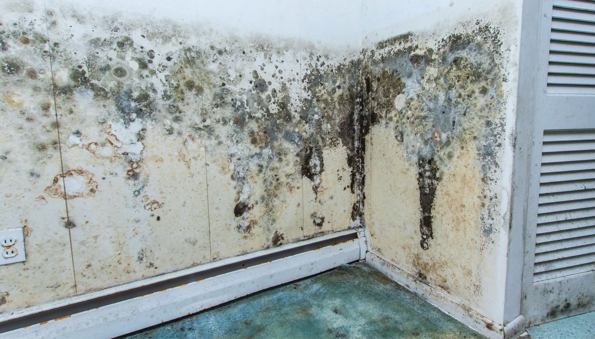 Mold Damage Odor Control Services in Chicago