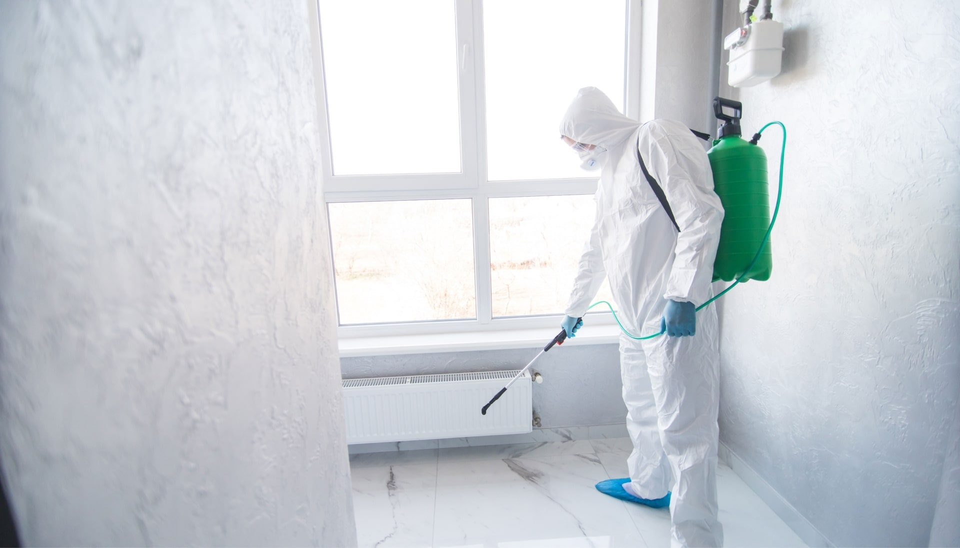 Mold Inspection Services in Chicago